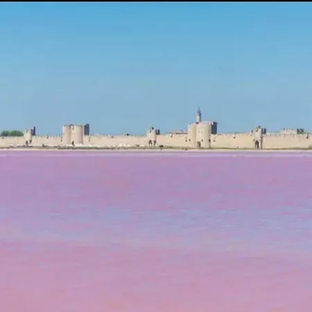 23m2 Moderne Hypercentre - Arenes A 2 Min