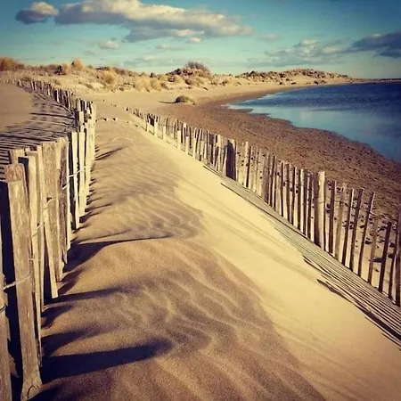 23m2 Moderne Hypercentre - Arenes A 2 Min Appartement Nîmes