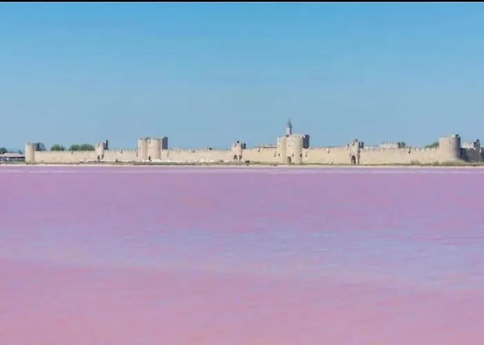 23m2 Moderne Hypercentre - Arenes A 2 Min